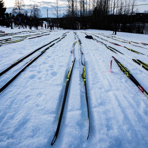 TKrennet ski